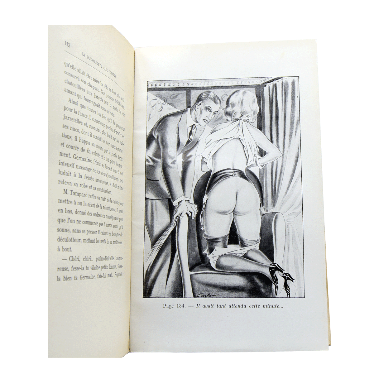 La guinguette aux orties - illustration Carlo 3